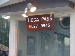 het hoogste punt van de Tioga Pass op ruim 3000 m | Tioga Pass